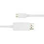 Deltaco USB-C til DisplayPort-kabel i hvid set lige forfra med USB-C-stik og DisplayPort-stik i hver sin ende.