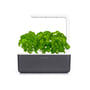 Click and Grow Smart Have 3 startsæt i grå viser frodige grønne planter og integreret LED-vækstlys på hvid baggrund.