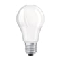 Ledvance CLA40 LED-pære på 4,9 W set lige forfra med opalhvid kuppel og den gevindskårne E27-fatning nederst.