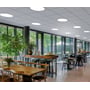 Ledvance Cover Circular Cut Out til Panel Comfort Gen2 ses monteret i et loft med runde lysflader i en restaurant.