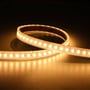 Fleksibelt Ansell Lighting P-Cell LED bånd med en bredde på 12mm og justerbar varm hvid belysning, som ligger i en bue.