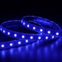 Ansell Lighting E-Cell Eco RGBW LED strip, 10 meter, lyser blåt med tydelige LED dioder på mørk baggrund.