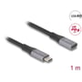 Nærbillede af DeLock USB 40 Gbps forlængerkabel stik, der viser metalhus med mærke og USB4 PD 3.1 logoer samt 1 meter længde.