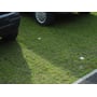 Bilhjul parkeret på en græsplæne forstærket med Byggros ECORASTER S50 græsarmeringsplader, der forhindrer hjulspor.