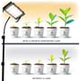 Illustration af Kobi FIRON plantelys-projektør ved spirer og planter, med vækst vist uge for uge.