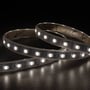 Ansell Lighting E-Cell Eco RGBW LED strip, 10 meter, hvidt lys (4000K) tændt på en mørk overflade.