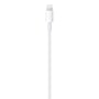 Apple USB-C til Lightning-kabel, 1 meter langt, hvidt, med Lightning-stikket tydeligt vist på hvid baggrund.