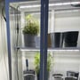 LEDlife Max-Grow 2.0 vækstarmatur lyser over potteplanter i et indendørs dyrkningsskab.