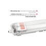 Limea dobbeltarmatur med T8 LED-rør og gennemsigtigt dæksel set fra siden; teksten fremhæver IP65-beskyttelse.
