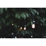 Ansell Lighting Festoon lyskæde med glødepærer monteret i sorte fatninger, hænger fra en gren i et mørkt, frodigt træ.