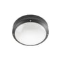 SG Armaturen Canto 2000 LED vægarmatur i grafit, 14W, 3000K, med rund, opal skærm og synlige skruer.