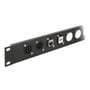 Delock D-type-modul med to USB-A-hunstik monteret i et sort panel sammen med andre stik, set skråt fra siden.