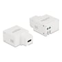 Hvidt DeLock-keystone-modul med USB Type-C-ladeport, set fra to sider med DeLock-logoet synligt.