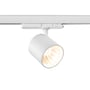 LEDlife 30W hvid, hvid, skinnespot, 3-faset, 175 lm/W, RA 90, 38 grader, dæmpbar