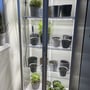 LEDlife Max-Grow 2.0 vækstarmatur monteret i et dyrkningsskab med planter og potter på hylderne.