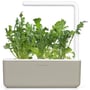 En grå Click & Grow smart have med frodig, frisk rucola vokset fra tre refill kapsler, hvid baggrund.