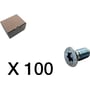 Nærbillede af en enkelt Cubic undersænket skrue med torx-kærv, vist isoleret med en papkasse og 'X 100' tekst.
