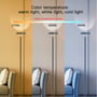 Smart gulvlampe viser lysspektret fra varmt 2700K til koldt 6500K, samt justerbar lysstyrke fra 5% til 100%.