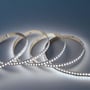 Ansell Lighting H-Cell LED strip på 50 meter med 10 mm bredde og 6500K dagslys, vist i en buet formation.