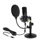 Fuldt samlet Delock USB kondensatormikrofon med shock mount, popfilter og bordstativ, klar til brug til podcasting eller streaming.