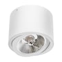 SpectrumLED Chloe AR111 loftslampe set skråt nedefra med den runde reflektor vinklet til siden.