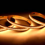 Fleksibel Ansell Lighting P-Cell LED strip på 50 meter, 24V, 19,2W/m, varmt hvidt lys i mørkt miljø.