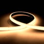 Ansell Lighting H-Cell LED bånd på 5 meter med 24V, der lyser med varmt hvidt 3000K lys i en elegant bueform.