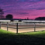 LEDlife Type X-2 ridebanestrip er monteret langs ridebanens hegn, hvor ryttere rider i skumringen.