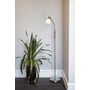 Halo Design Hudson gulvlampe i børstet stål med opal glaskuppel, stående ved siden af en stor grøn plante i en mørk glasvase.