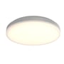 Ansell Lighting Mercurial plafond i sølv med en diameter på 370 mm og IP54-klassificering.