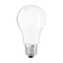 Ledvance mat LED-standardpære på 10 W set forfra med rund, hvid top og synlig E27-skruefatning.