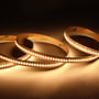 Ansell Lighting P-Cell 5 meter LED strip med varmt hvidt lys, 24V, 19,2W/m, viser fleksible lysbånd tæt på hinanden med synlige dioder.
