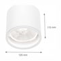 Målskitse af den hvide SpectrumLED Chloe loftlampe til udendørs brug med angivet højde på 115 mm og diameter på 120 mm.