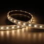 Ansell Lighting P-Cell LED strip i varm hvid, 10 meter, 24V, IP67, med 60 LED/m og 14mm bredde.